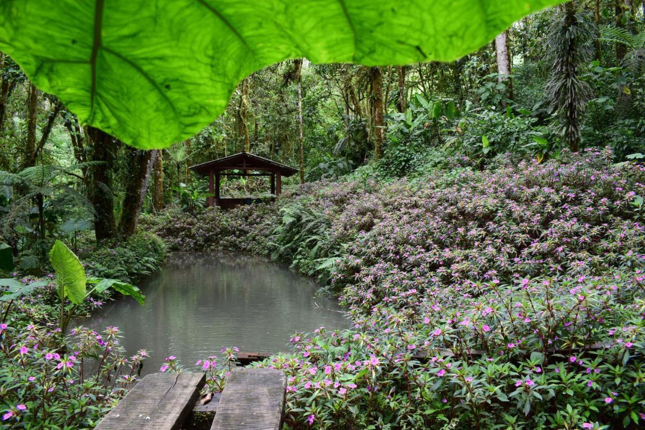 Reserva Natural Cerro Alto Empalme Exterior foto