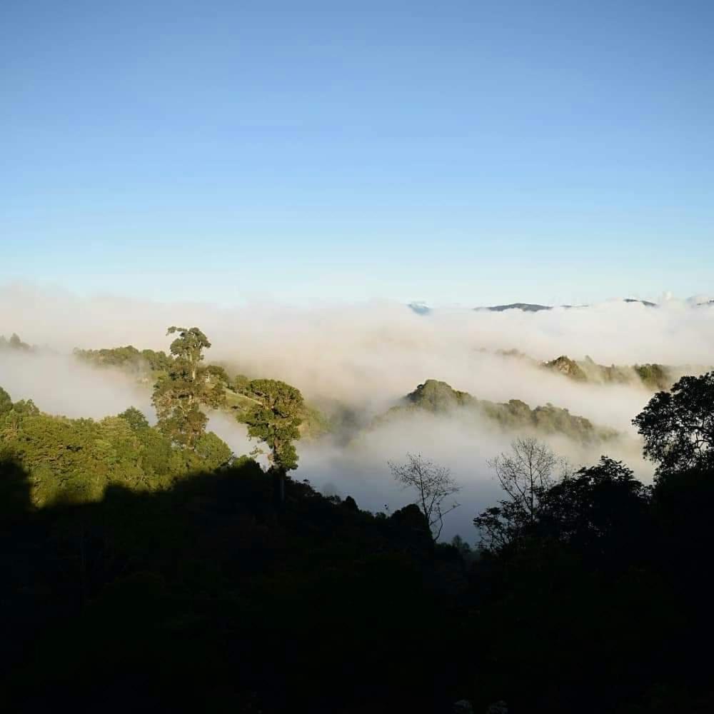 Reserva Natural Cerro Alto Empalme Exterior foto